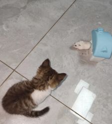 -Oasis Beauty水磨坊科技美肤中心