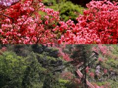 -岳西天峡风景区