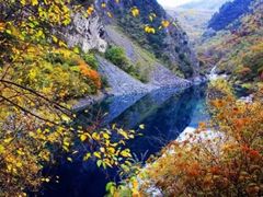 -叠溪松坪沟景区