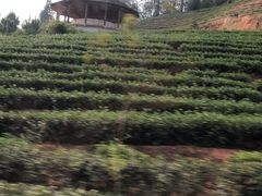 -天芳悦潭度假村温泉