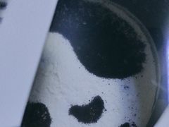 -皇家美孚(海云庵店)