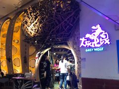 -大灰狼(中心书城店)