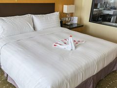 -天津滨海圣光皇冠假日酒店