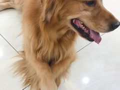 -美联众合动物医院·24h京西诊疗中心