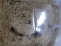 -供美香(集街店)