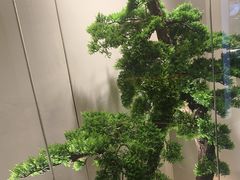 -大鹏饭店·金陵家宴(奥体中心店)