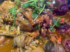 甲鱼土鸡锅-洪湘记川湘·甲鱼馆(四海凯悦美食广场店)