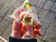 -人民防洪胜利纪念塔