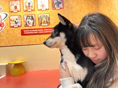 -和它·交个朋友·狗咖猫咖(爱琴海店)