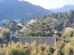 -潭柘寺景区
