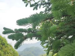 -秦岭风景区