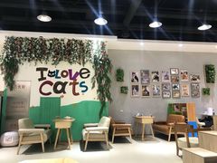 大堂-藏猫猫咖啡主题馆(中央大道店)