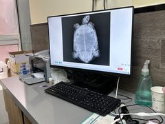 -爱侣宠医·鹦鹉专科·小型哺乳类·异宠专科(灵石路店)