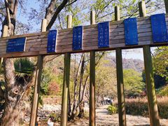 -岳西天峡风景区