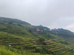 -紫鹊界梯田景区