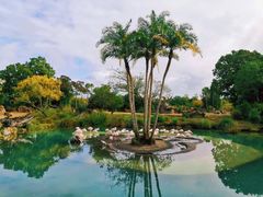 -奥兰多迪士尼动物王国乐园