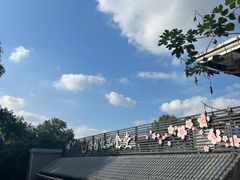 -武汉大学-樱园