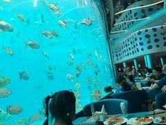 -瑞德姆美人鱼海底演艺主题餐厅(亚龙湾店)