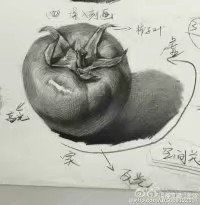 -八哥美术·成人美术画室(总校区)