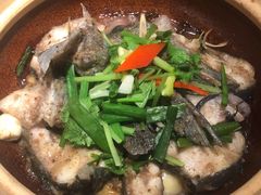 -大榕树下顺德菜(融创茂店)
