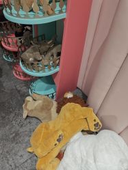 -奈尔宝·儿童乐园·亲子餐厅(前滩店)