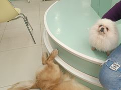 -怪兽屋·羊驼·猫咖·狗咖(俊华广场店)