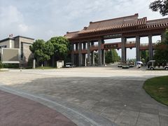 -三垟湿地