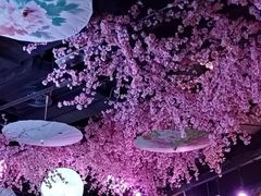 -韵秋荷(宝山龙湖天街店)