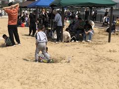 -海河外滩公园