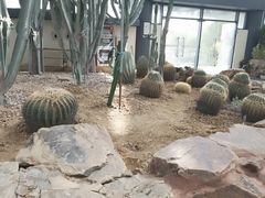 -苏州太湖国家湿地公园
