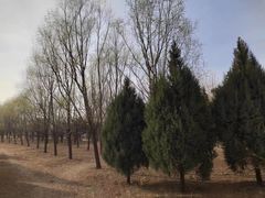 -东坝千亩湖公园