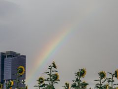 -光明小镇欢乐田园