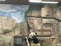 -无锡动物园·太湖欢乐园