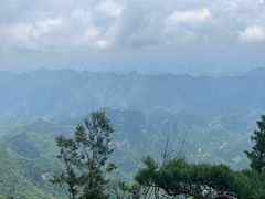 -秦岭天竺山景区