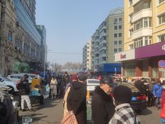 -哈尔滨道外花鸟鱼市场