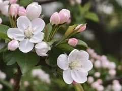 -上海滨江森林公园