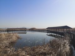 -苏州太湖湖滨国家湿地公园