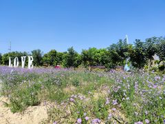 -广东花都香草世界旅游度假区