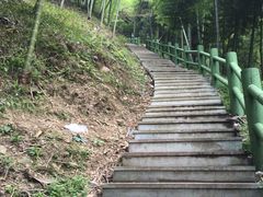 -藏龙百瀑风景区