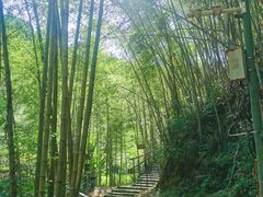 -千泷沟大瀑布旅游区