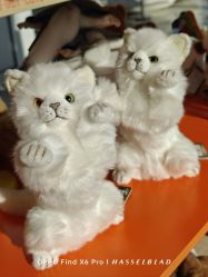 -IMON·HANSA潮玩玩偶毛绒玩具(通州万象汇店)