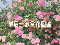 -国家植物园
