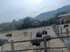 -西安秦岭野生动物园