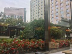 -亮马河饭店翠雅咖啡厅