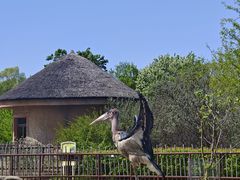 -齐齐哈尔龙沙动植物园