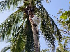 -三亚湾海居雅高铂尔曼度假酒店