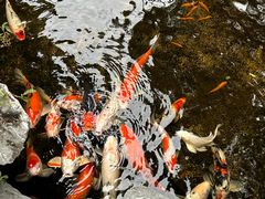-荔湾湖公园