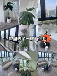 -HEYAN荷妍专业脱毛连锁机构