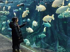 -波塞冬旅游度假区