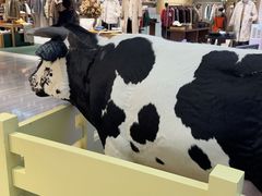 -红星前进面包牛奶公司(君太店)